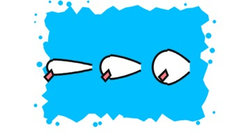 Minnow, shad a crank: tvar těla