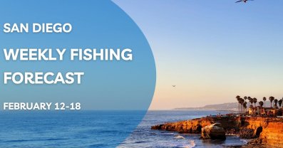 February 12-18, 2024: Weekly Fishing Forecast and Tips for San Diego: 