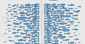 20 причин, чому риба не клює