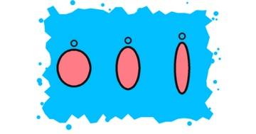 Spinner blade shapes