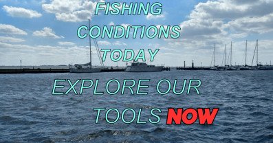 Exploring Fishing Conditions Today: Enhancing Your Angling Success