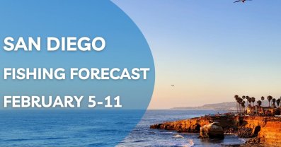 Fishing Forecast Insights for San Diego, February 5-11, 2024