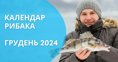 Календар рибака на грудень 2024