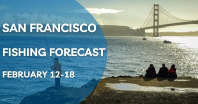 San Francisco Fishing Forecast: 12th to 18th February Analysis