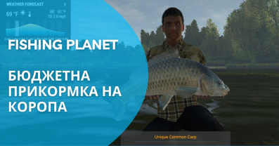 Бюджетна прикормка на коропа у грі Fishing Planet