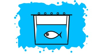Köderfischeimer: wie der Fisch überlebt