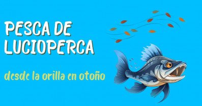 Pesca de lucioperca desde la orilla en otoño