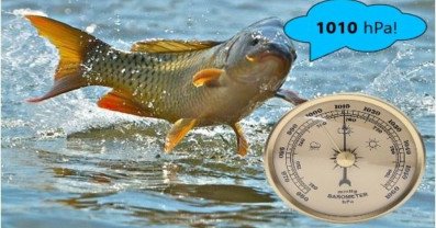 Optymalne ciśnienie dla wędkowania: tabela brań na ryby