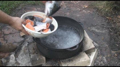 Wasser kochen und Fisch hineinlegen