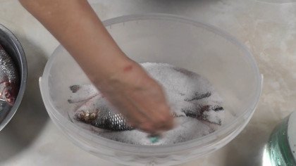 1 weiteren Fisch darauf legen und salzen