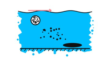 Comment l’amorce agit dans l’eau