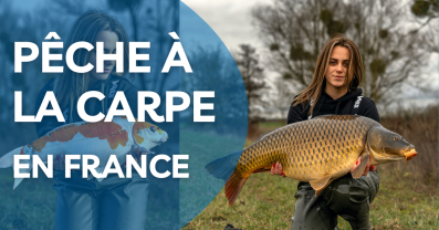 Pêche à la carpe en France : Conseils d'expert pour attraper des trophées