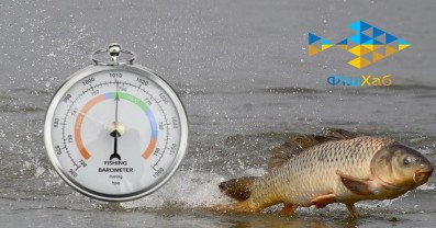 Оптимальний тиск для рибалки: таблиця тиску для мирної риби та хижака