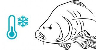 Cold water carp fishing tactics and tips